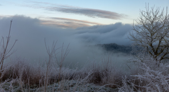 Thumbnail for 7012972