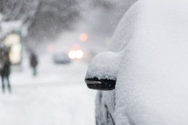 Thumbnail for 7013068