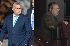 Thumbnail for 7013135