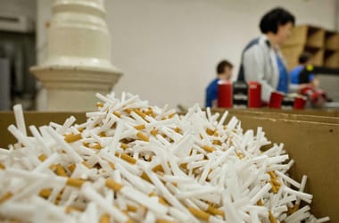 Thumbnail for 7013576