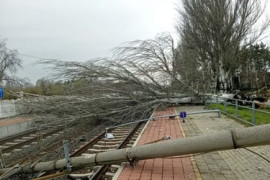 Thumbnail for 7013590