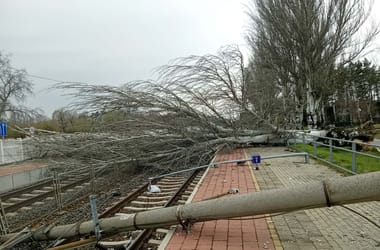 Thumbnail for 7013590