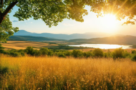 Thumbnail for 7013705