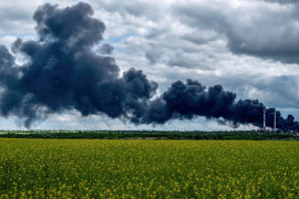 Thumbnail for 7013786