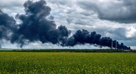 Thumbnail for 7013786