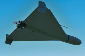 Thumbnail for 7013894