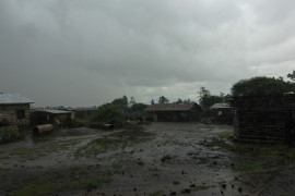 Thumbnail for 7013966