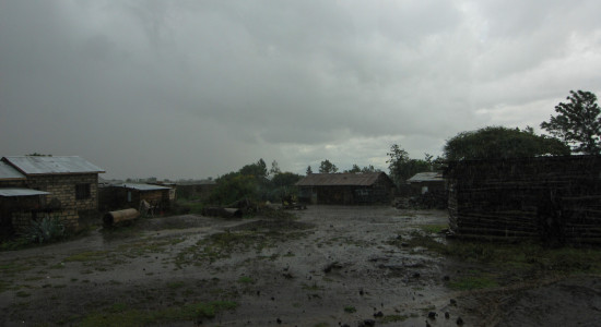 Thumbnail for 7013966