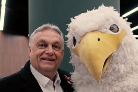 Thumbnail for 7013985