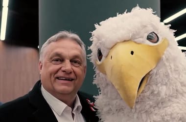 Thumbnail for 7013985