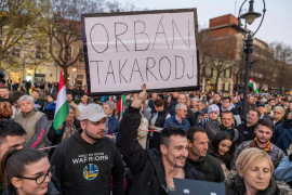 Thumbnail for 7014116