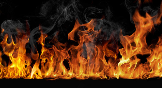 Thumbnail for 7014118