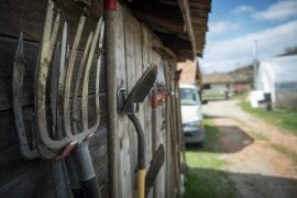 Thumbnail for 7014153