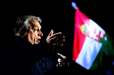 Thumbnail for 7014206