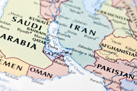 Thumbnail for 7014599