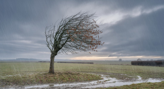 Thumbnail for 7014706