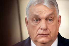 Thumbnail for 7014829