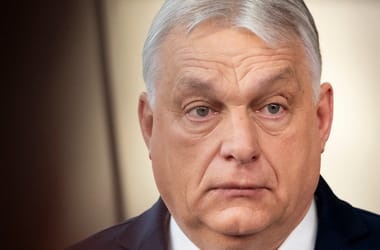 Thumbnail for 7014829