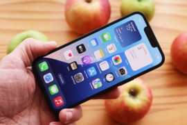 Thumbnail for 7015037