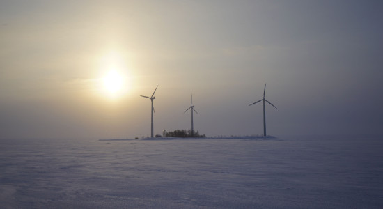 Thumbnail for 7015241