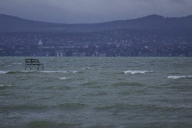 Thumbnail for 7015884