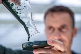 Thumbnail for 7015929