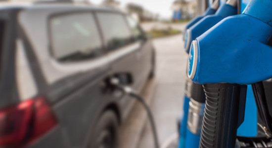 Thumbnail for 7015976