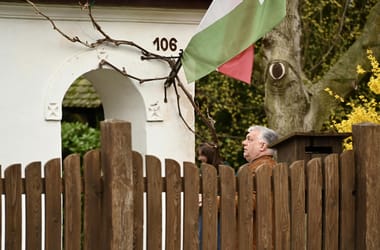 Thumbnail for 7016101