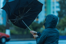 Thumbnail for 7016282