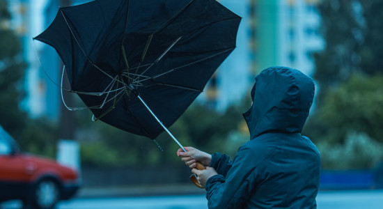 Thumbnail for 7016282