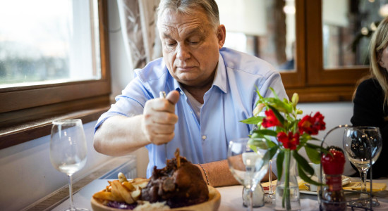 Thumbnail for 7016394