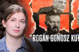 Thumbnail for 7016421