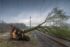 Thumbnail for 7016840