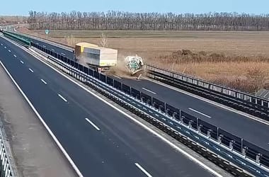 Thumbnail for 7017036