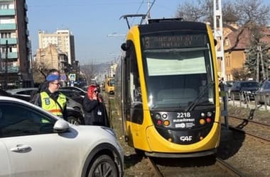 Thumbnail for 7017249