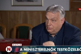 Thumbnail for 7017274