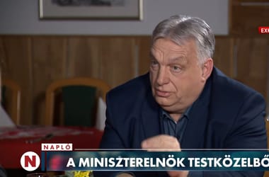 Thumbnail for 7017274