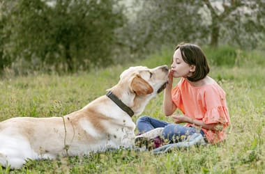 Thumbnail for 7017393