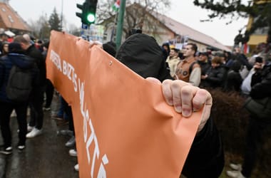 Thumbnail for 7017473