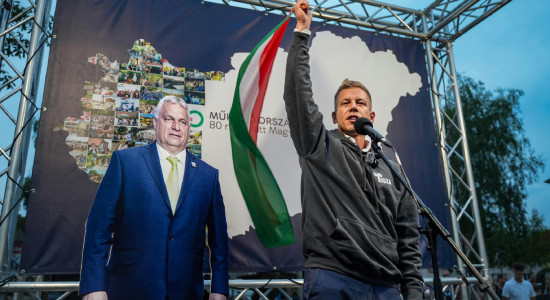 Thumbnail for 7017499