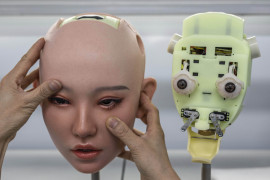 Thumbnail for 7017565