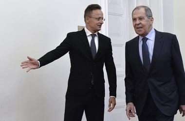 Thumbnail for 7017580