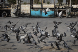 Thumbnail for 7017592