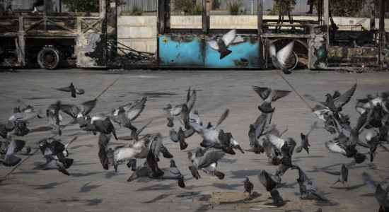 Thumbnail for 7017592