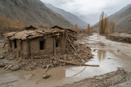 Thumbnail for 7017597