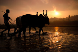 Thumbnail for 7017665