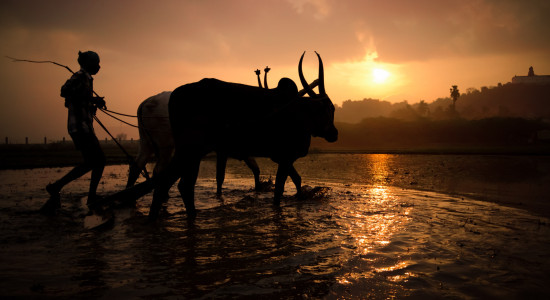 Thumbnail for 7017665