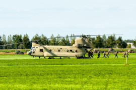 Thumbnail for 7017893