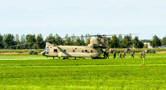 Thumbnail for 7017893