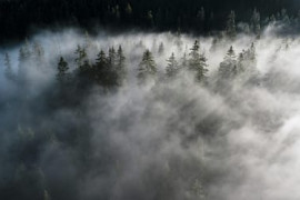 Thumbnail for 7017897